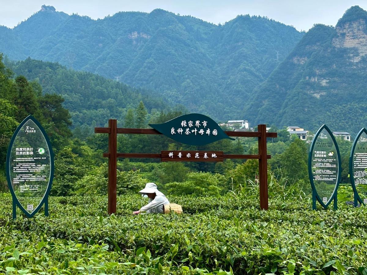 Zhangjiajie National Park Nvue Resorts Eksteriør bilde