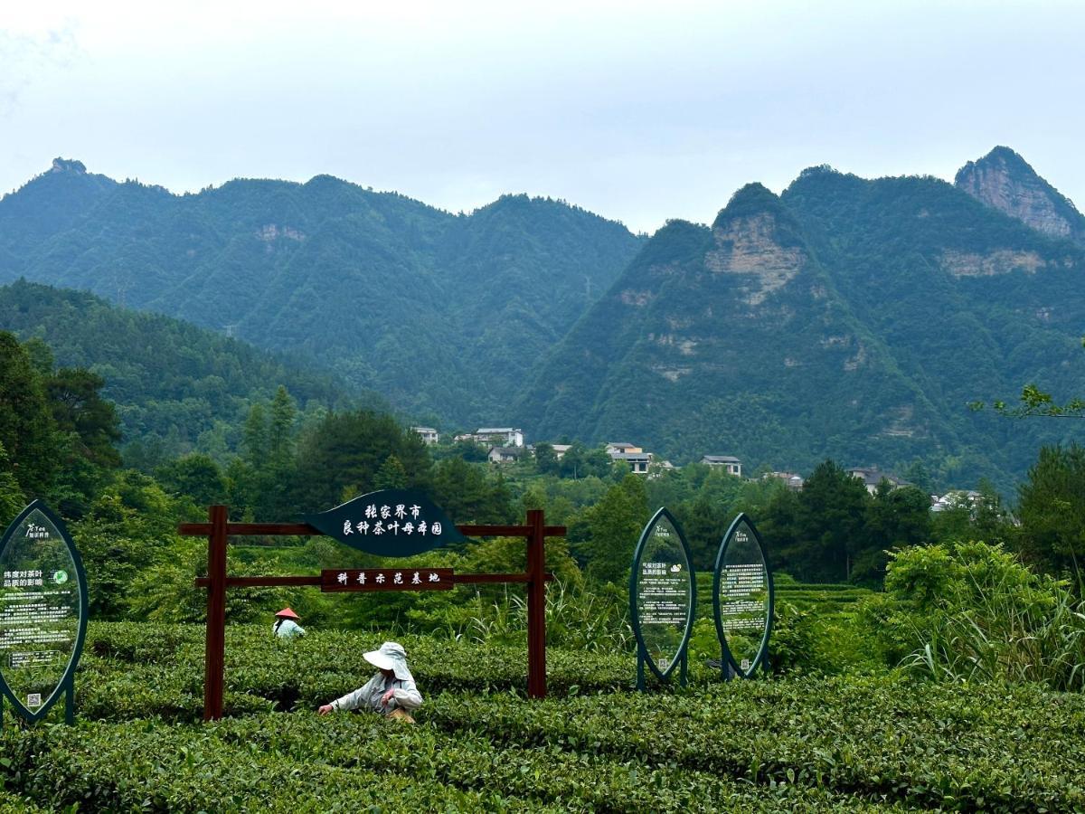 Zhangjiajie National Park Nvue Resorts Eksteriør bilde